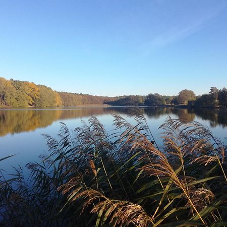 Warthe - Mitten In Der Natur Exterior foto